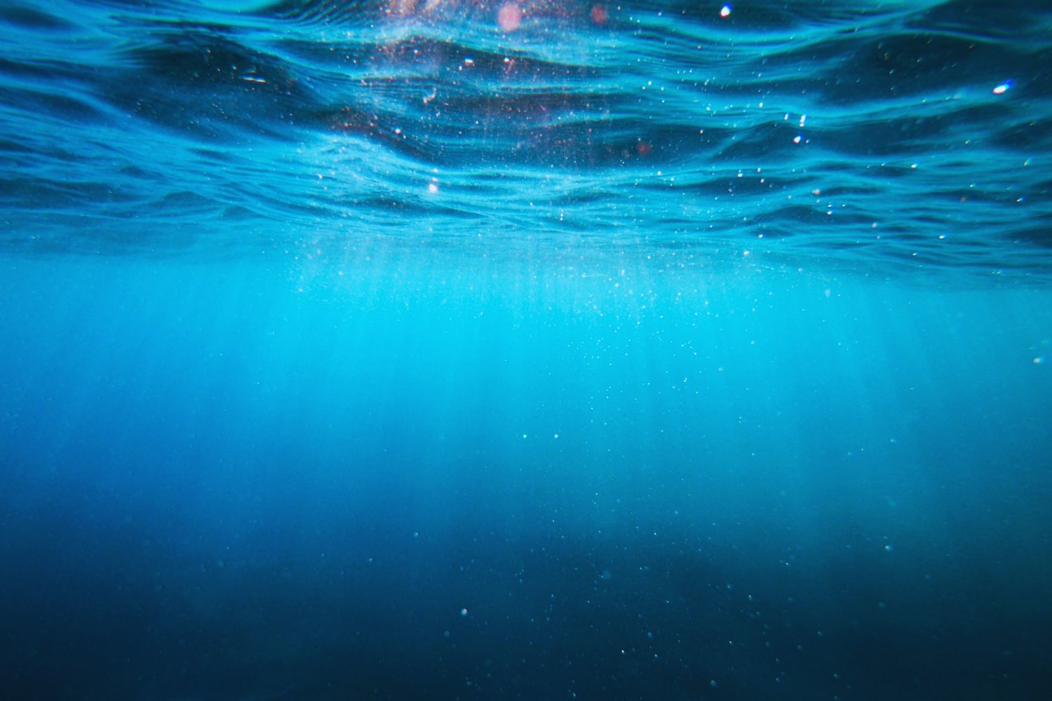 Lo que antes destruía los océanos ahora puede salvarlos. Un reactor chino convierte el CO₂ del agua marina en materiales biodegradables