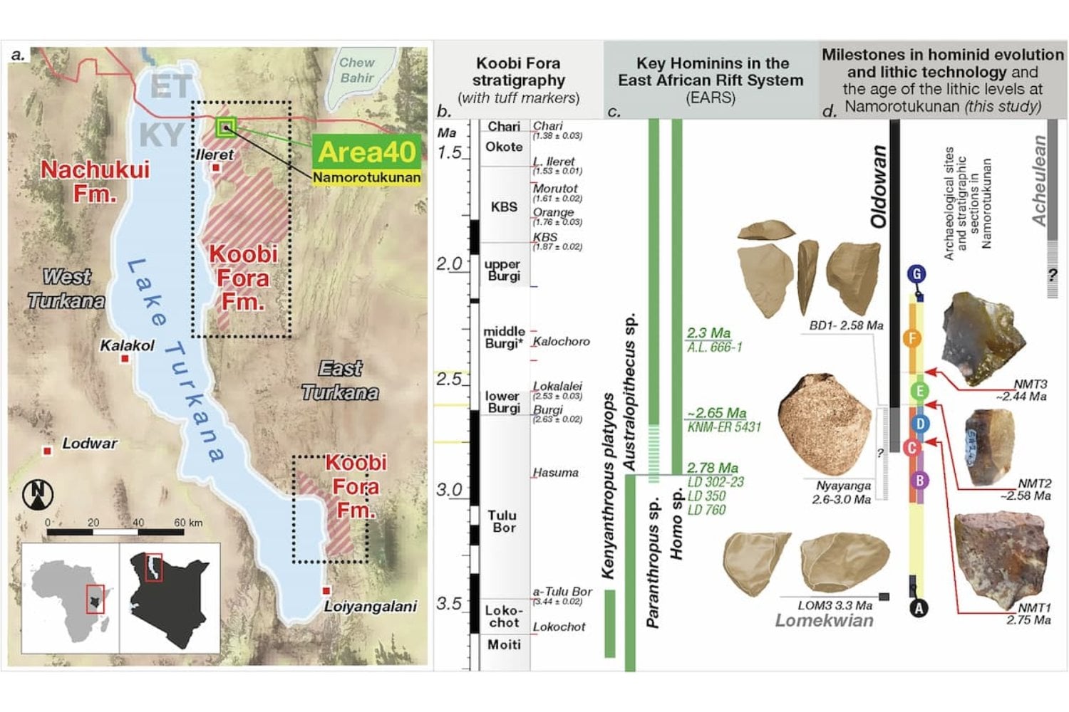 Hallazgo en Kenia retrasa los orígenes de la tecnología humana. 300.000 años fabricando las primeras “navajas suizas” de la humanidad