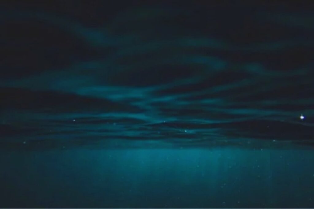 Los exploradores se sumergen a 3.465 metros bajo el océano y encuentran algo que no debería existir. Un fósil viviente que conecta el presente con la era primitiva de la Tierra