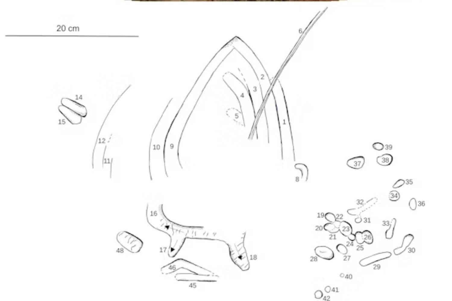 Creíamos que el arte rupestre era exclusivo del Homo sapiens. Las nuevas dataciones muestran que los neandertales ya lo practicaban mucho antes