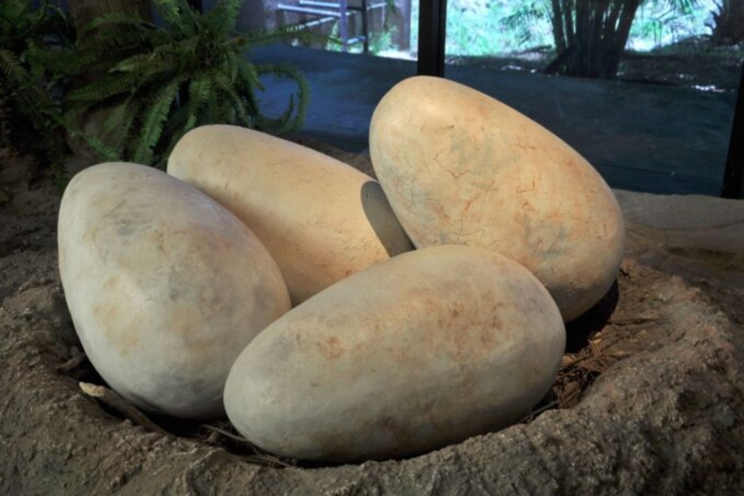 Durante millones de años permanecieron ocultos bajo la tierra. Ahora, España revela huevos de dinosaurio que podrían reescribir la historia del Cretácico europeo.