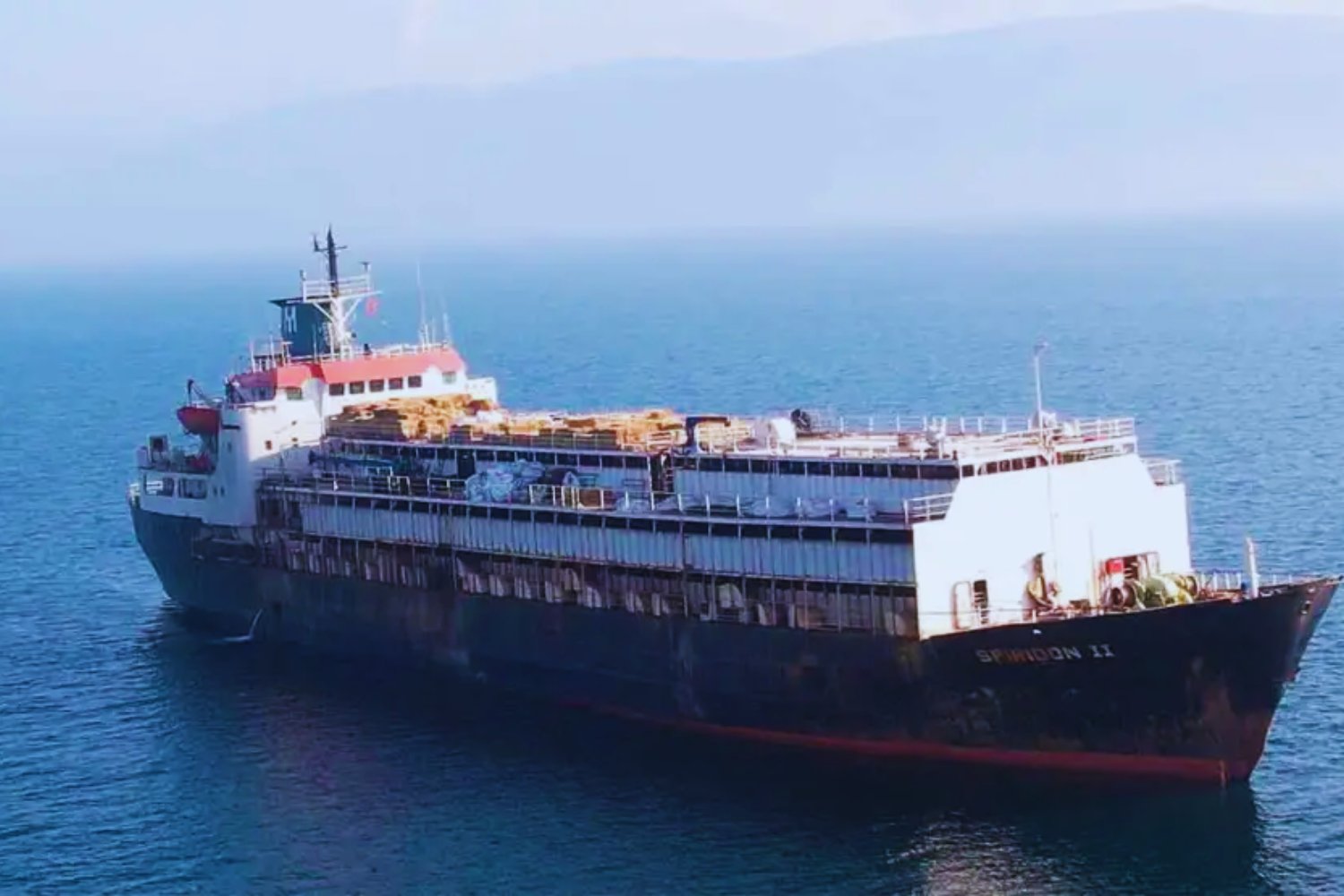 La tragedia que se avecina en el Spiridon II: Turquía rechazó casi 3.000 vacas uruguayas y el buque inicia un regreso donde la comida no alcanza