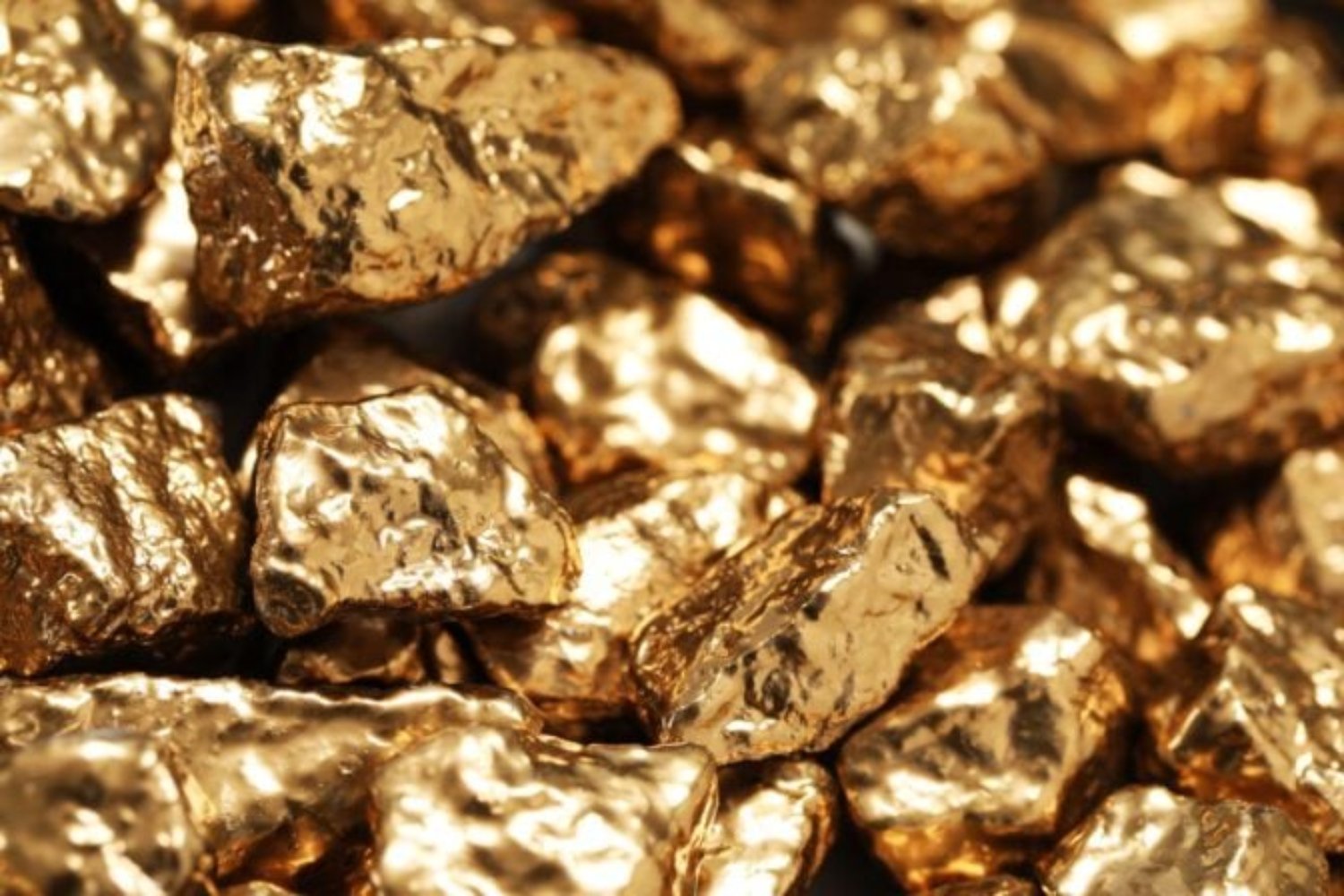 El oro brota del suelo: científicos descubren plantas capaces de absorberlo y transformarlo en metal puro