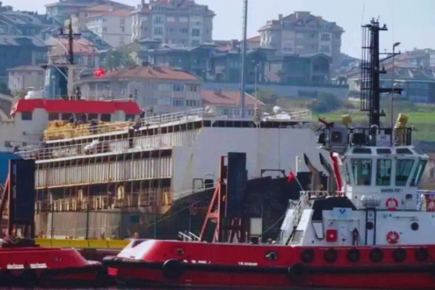 La tragedia que se avecina en el Spiridon II: Turquía rechazó casi 3.000 vacas uruguayas y el buque inicia un regreso donde la comida no alcanza