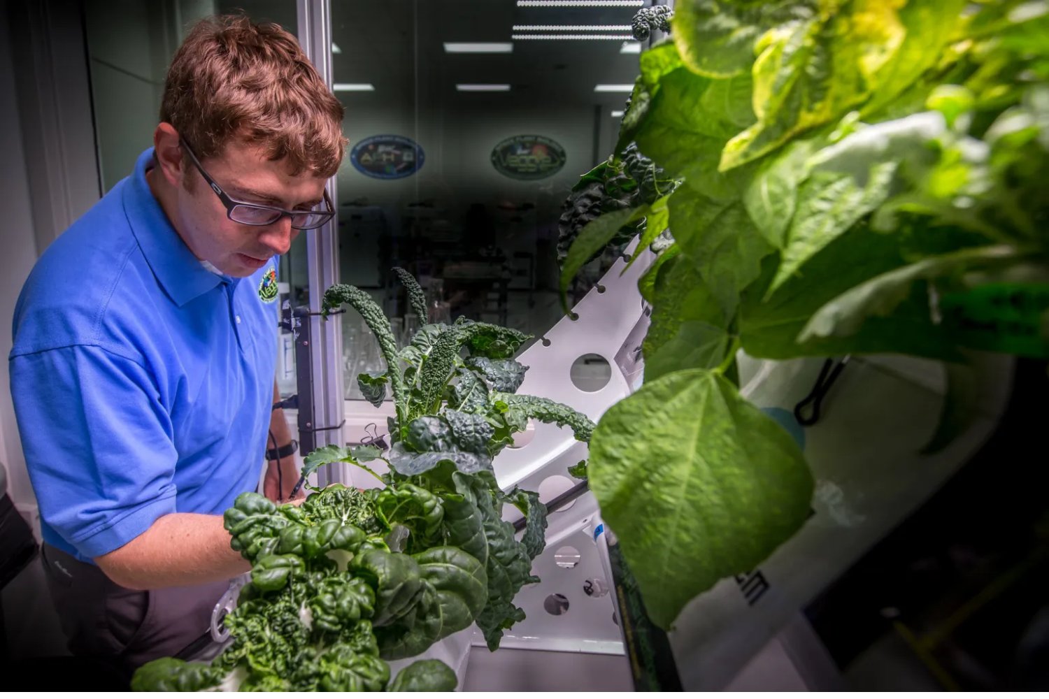 Convertirse en especie multiplanetaria requiere algo más que cohetes. Científicos preparan cultivos capaces de generar alimento, oxígeno y fármacos en el espacio profundo