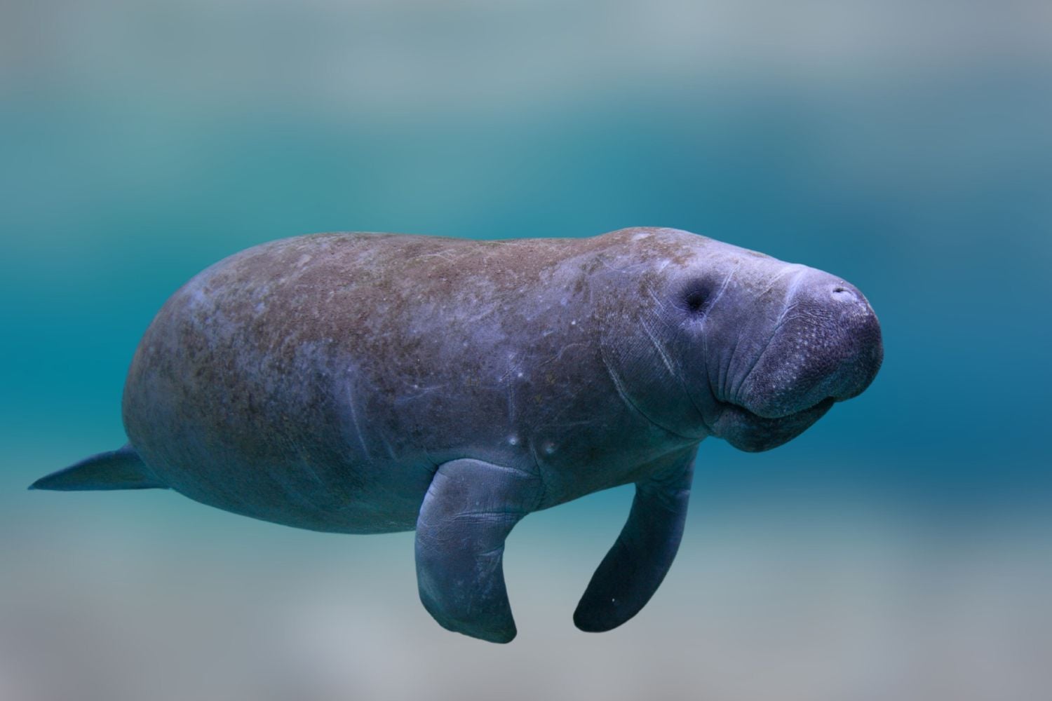 Diseño Sin Título (34)