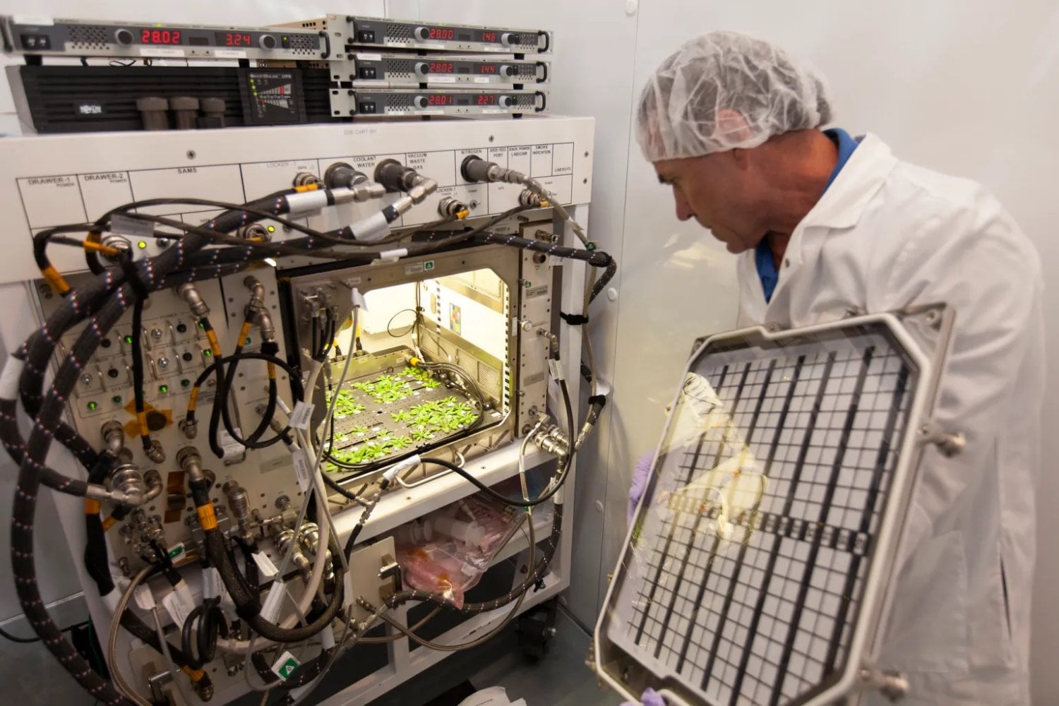 Convertirse en especie multiplanetaria requiere algo más que cohetes. Científicos preparan cultivos capaces de generar alimento, oxígeno y fármacos en el espacio profundo