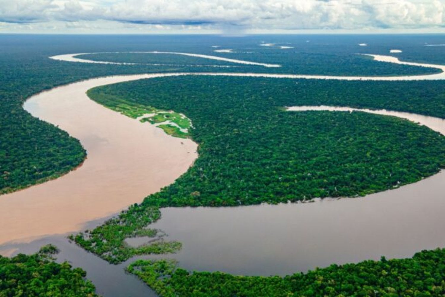 El mito del “pulmón del planeta”: por qué la Amazonia no produce el oxígeno que creíamos