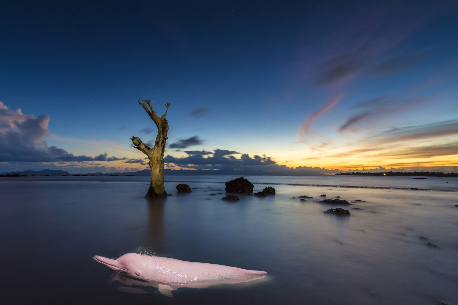 Diseño Sin Título (37)