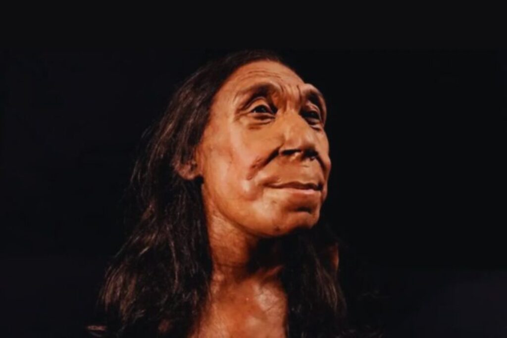 El final de los neandertales quizá nunca fue un final. Un modelo matemático indica que no murieron como especie, sino que se fundieron con nosotros hasta desaparecer