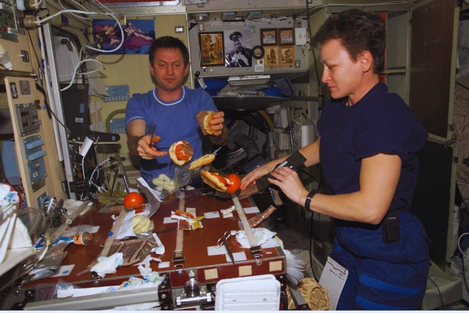 Del experimento al almuerzo. Los insectos llevan medio siglo sobreviviendo al espacio y la ESA estudia convertirlos en fuente de alimento en las misiones largas