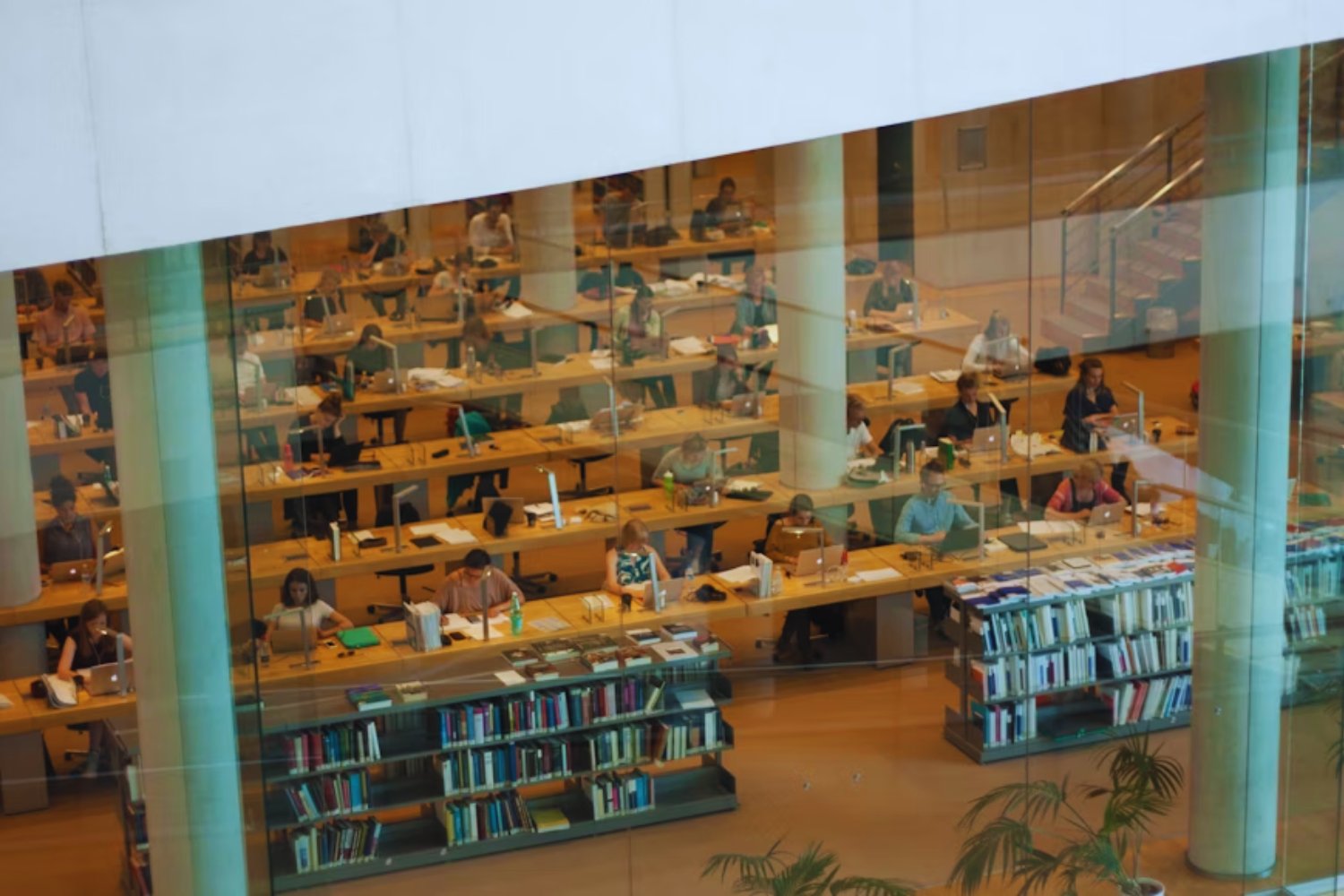El idioma que derrota al inglés: la IA entiende mejor el polaco (y el español le pisa los talones)