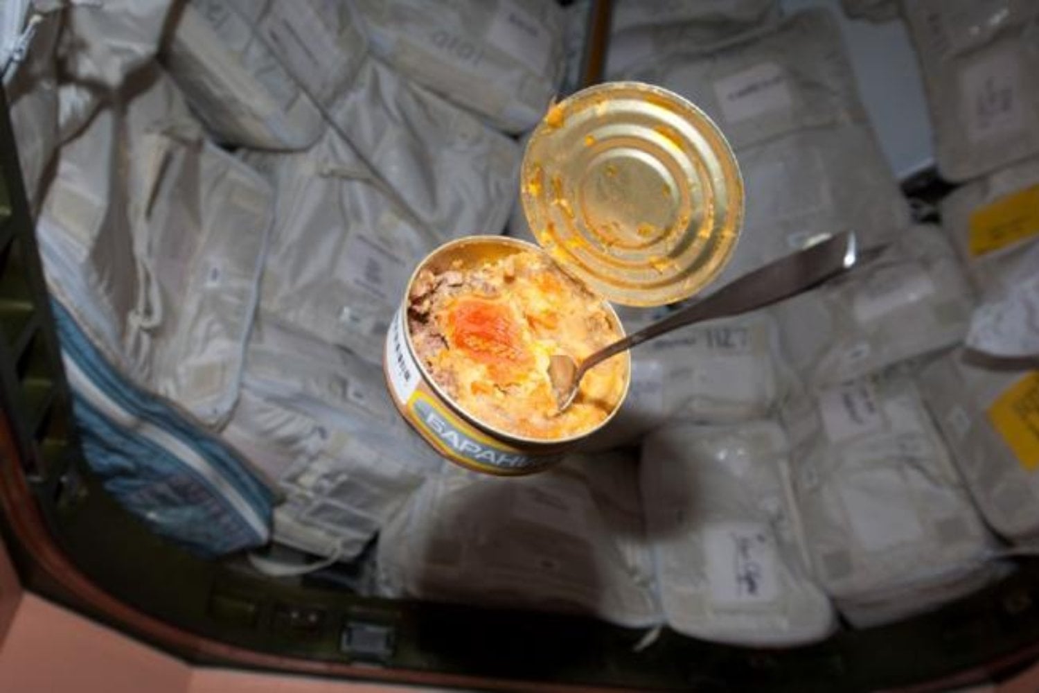 Del experimento al almuerzo. Los insectos llevan medio siglo sobreviviendo al espacio y la ESA estudia convertirlos en fuente de alimento en las misiones largas