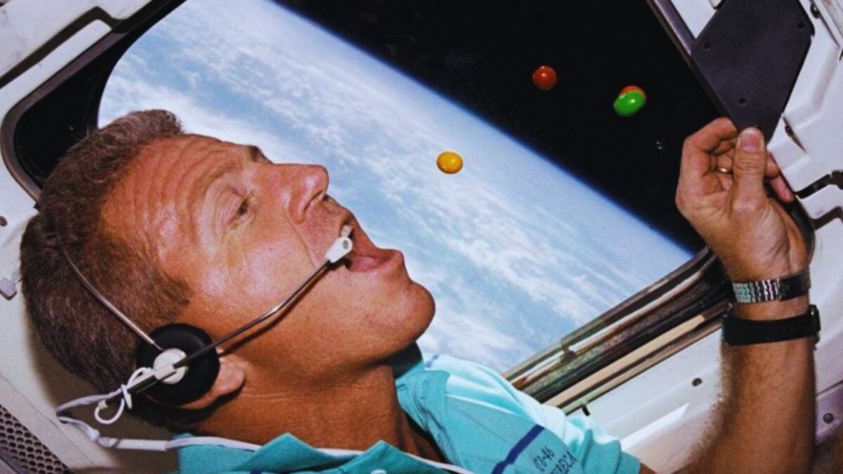 Llevan décadas orbitando en silencio. Los insectos fueron los primeros viajeros espaciales y ahora la ESA quiere saber si también podrán alimentar a los astronautas del futuro