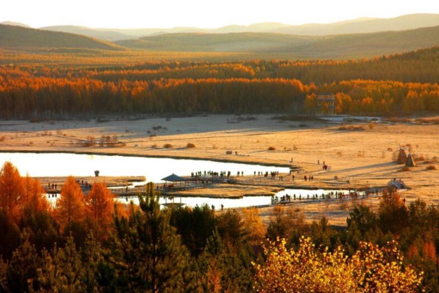 El mayor bosque artificial del mundo nació sobre un desierto. China convirtió 93.000 hectáreas de arena en una barrera ecológica que reduce tormentas, fija CO₂ y altera el clima regional
