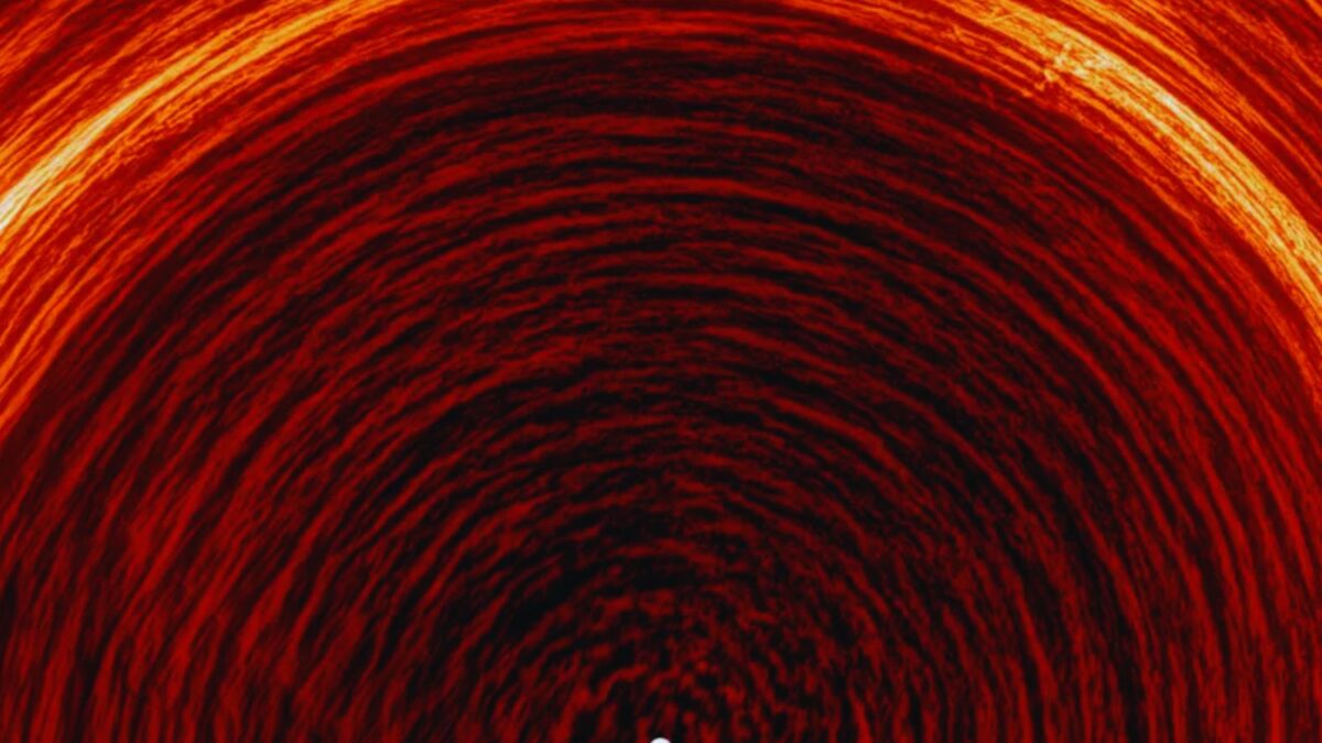 Por primera vez logramos mirar de frente el polo sur del Sol y el resultado no encaja con lo que esperaban los modelos. Solar Orbiter reveló un magnetismo polar que se mueve mucho más rápido de lo previsto