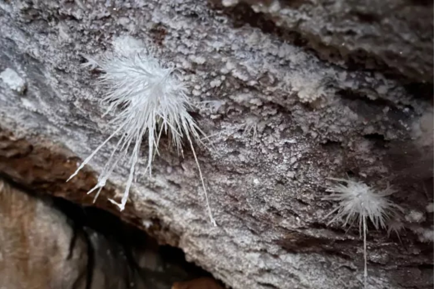 Un hallazgo clave en la cavidad que guarda el mayor río subterráneo de Europa: nuevas galerías elevan su extensión a más de 3.000 metros y revelan formaciones nunca documentadas.