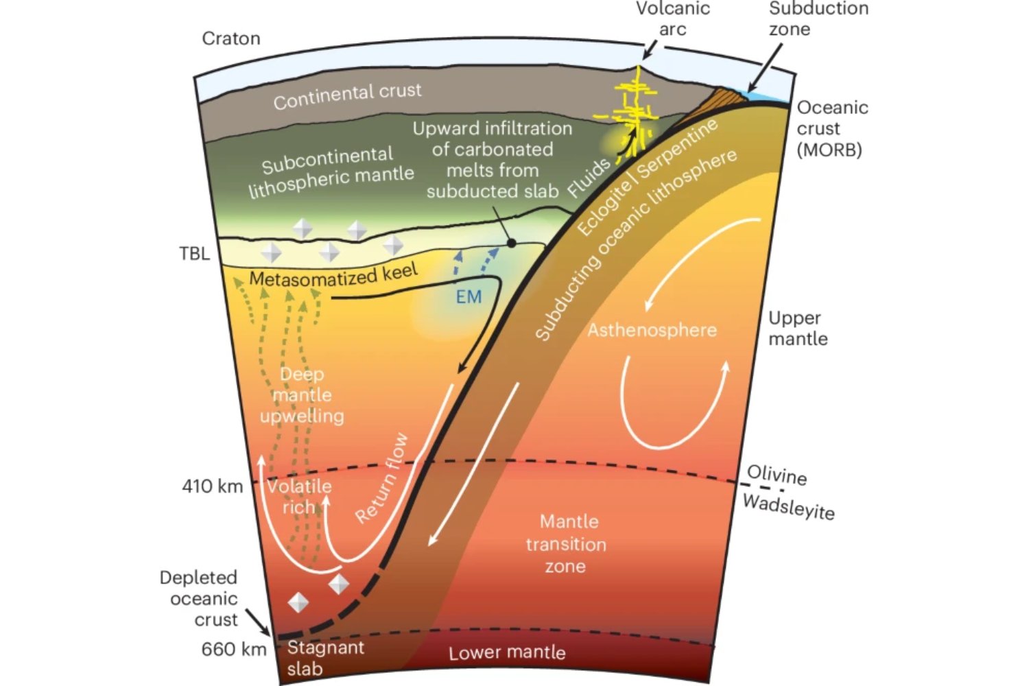 No era un misterio volcánico: eran pedazos de continentes viajando bajo el océano. Un estudio muestra cómo la ruptura continental deja un rastro profundo capaz de cruzar el planeta