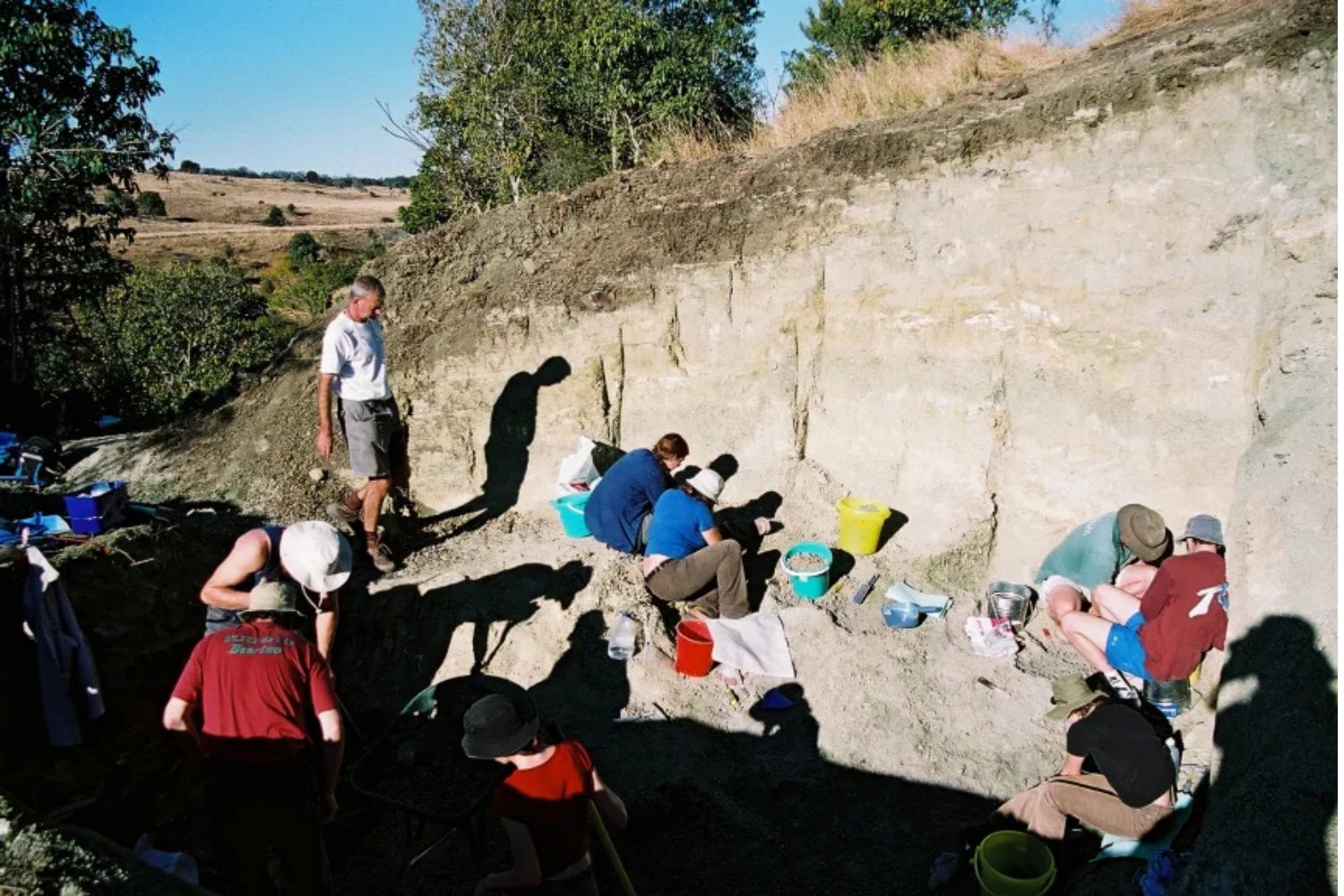 No todos los cocodrilos cazaban en el agua. Un huevo fosilizado muestra que algunos podían trepar árboles y lanzarse en caída libre sobre sus presas