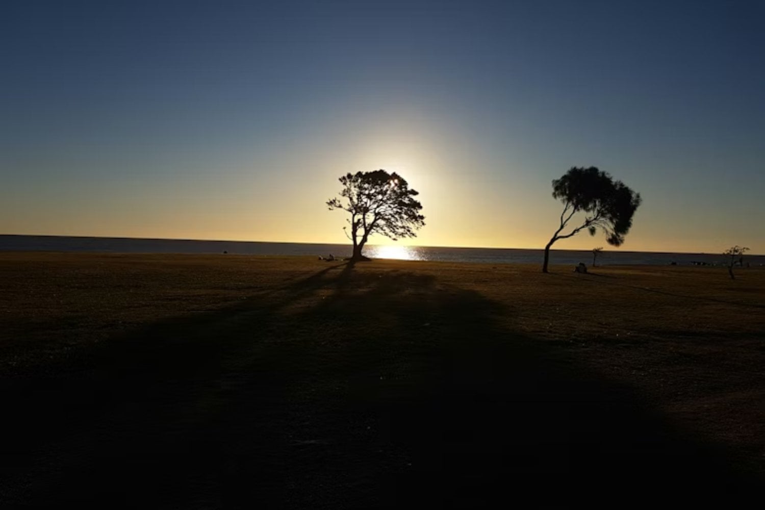 Si toda la humanidad viviera como Uruguay. Por qué el país sudamericano frenaría la “estafa piramidal” global con los recursos del planeta según el creador de la huella ecológica