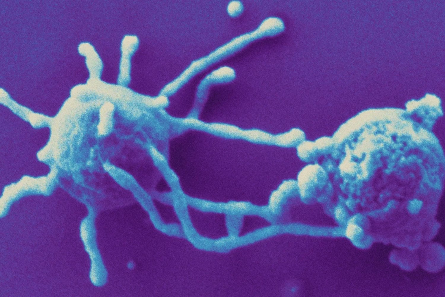 Una expedición en el Atlántico Sur busca a los microbios que podrían haber dado origen a toda la vida compleja. Si los encuentran, podríamos entender de dónde venimos.