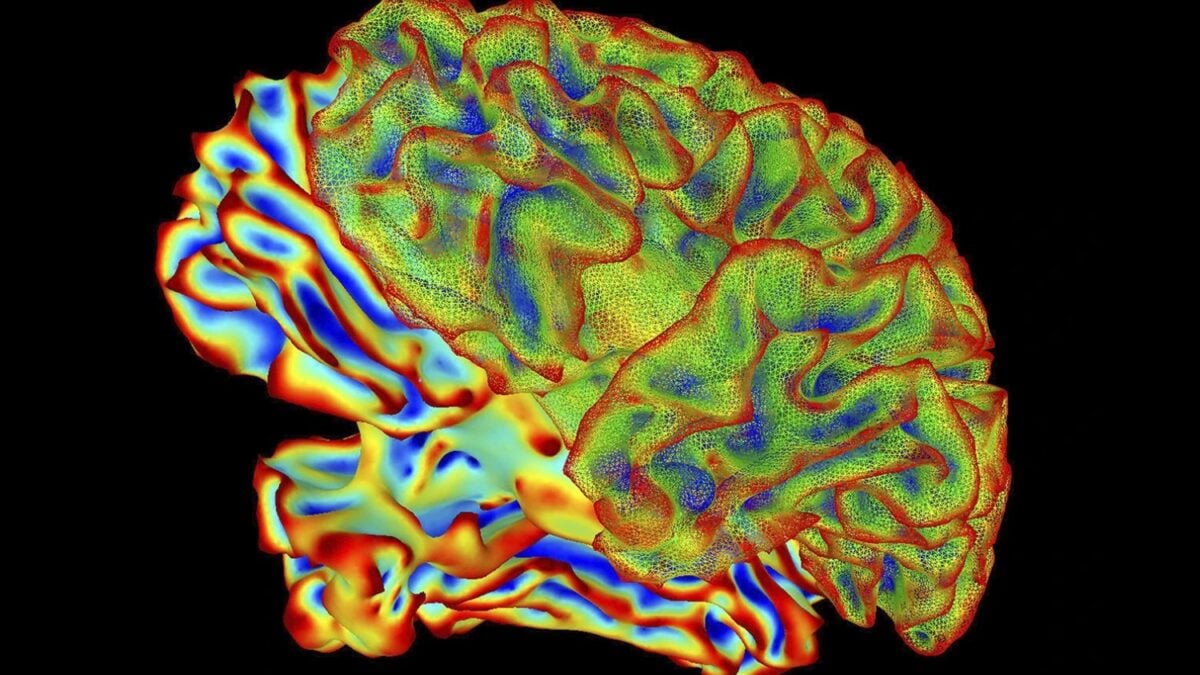 Una inteligencia artificial acaba de cruzar una frontera que parecía de ciencia ficción: convertir actividad cerebral en texto. El avance permite describir lo que una persona ve, recuerda o imagina