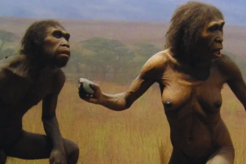 No fue el cazador, fue la presa: la inteligencia artificial reescribe la historia de Homo habilis