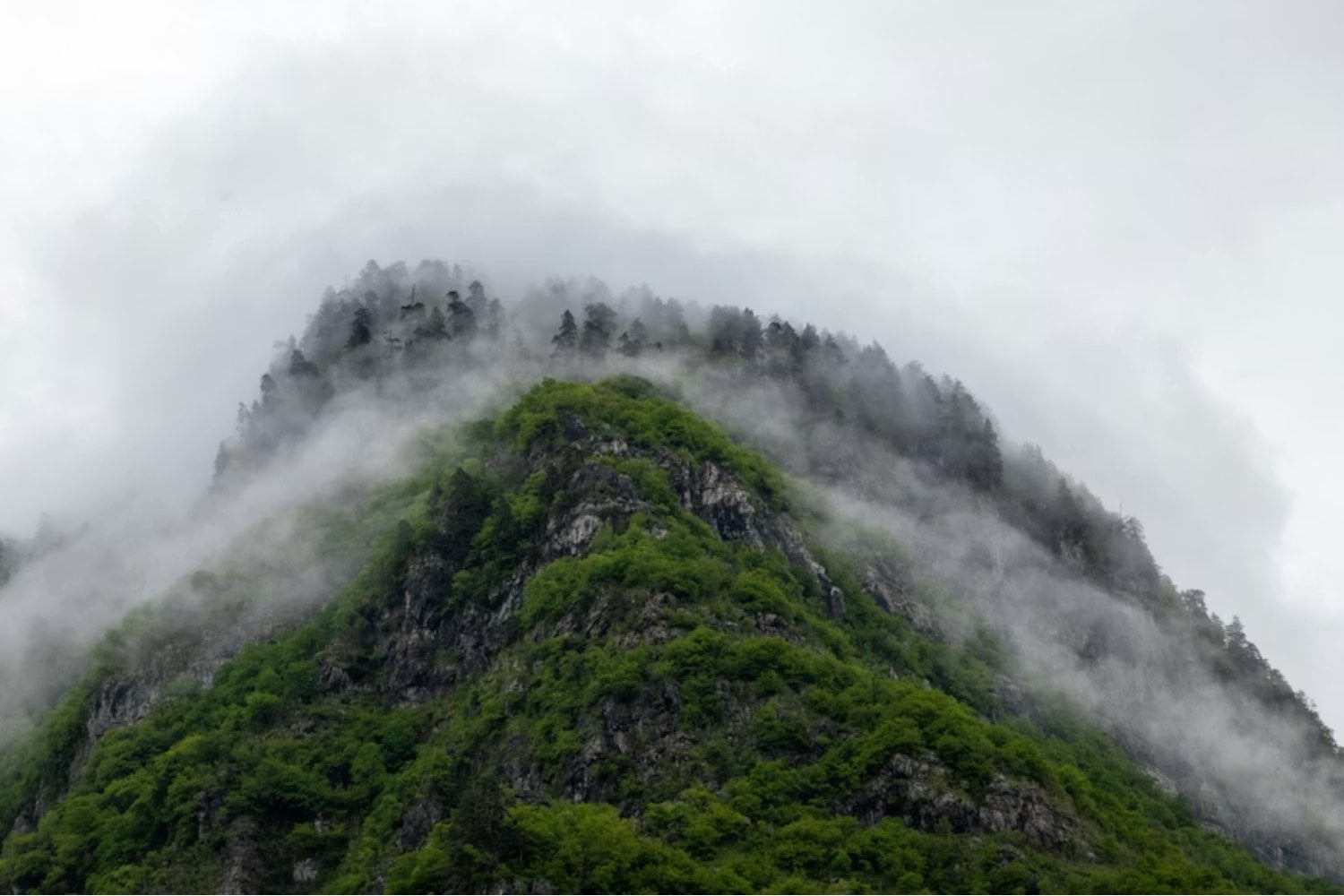 Nadie imaginaba que Sudamérica escondía un linaje humano desconocido. Ahora el ADN revela que un pueblo aislado sobrevivió 8.500 años en silencio absoluto