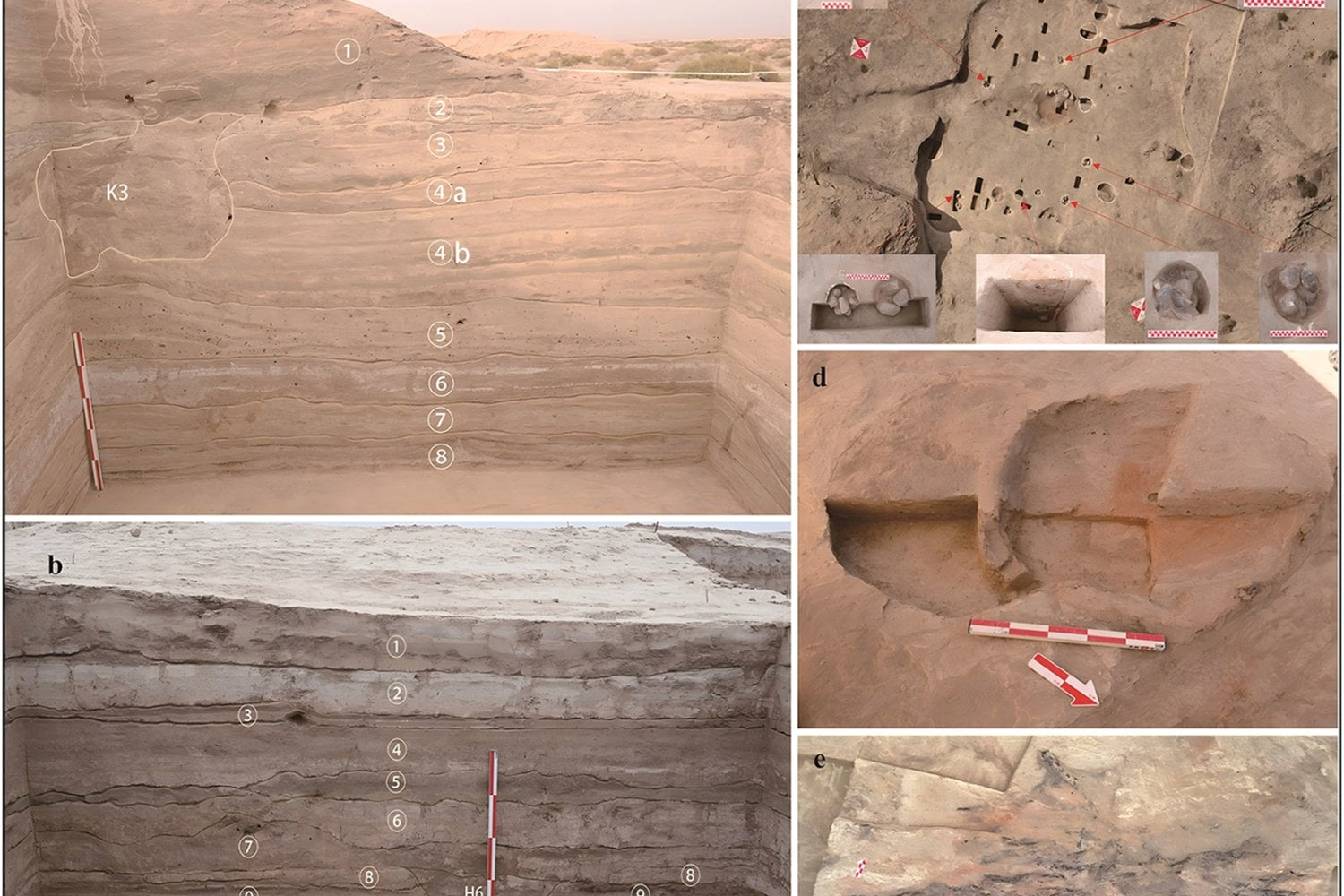 El oasis perdido que desafía al desierto: hallan en la Cuenca del Tarim el asentamiento de la Edad del Bronce más occidental de China. Un enclave que revela rutas, alianzas y una metalurgia inesperada