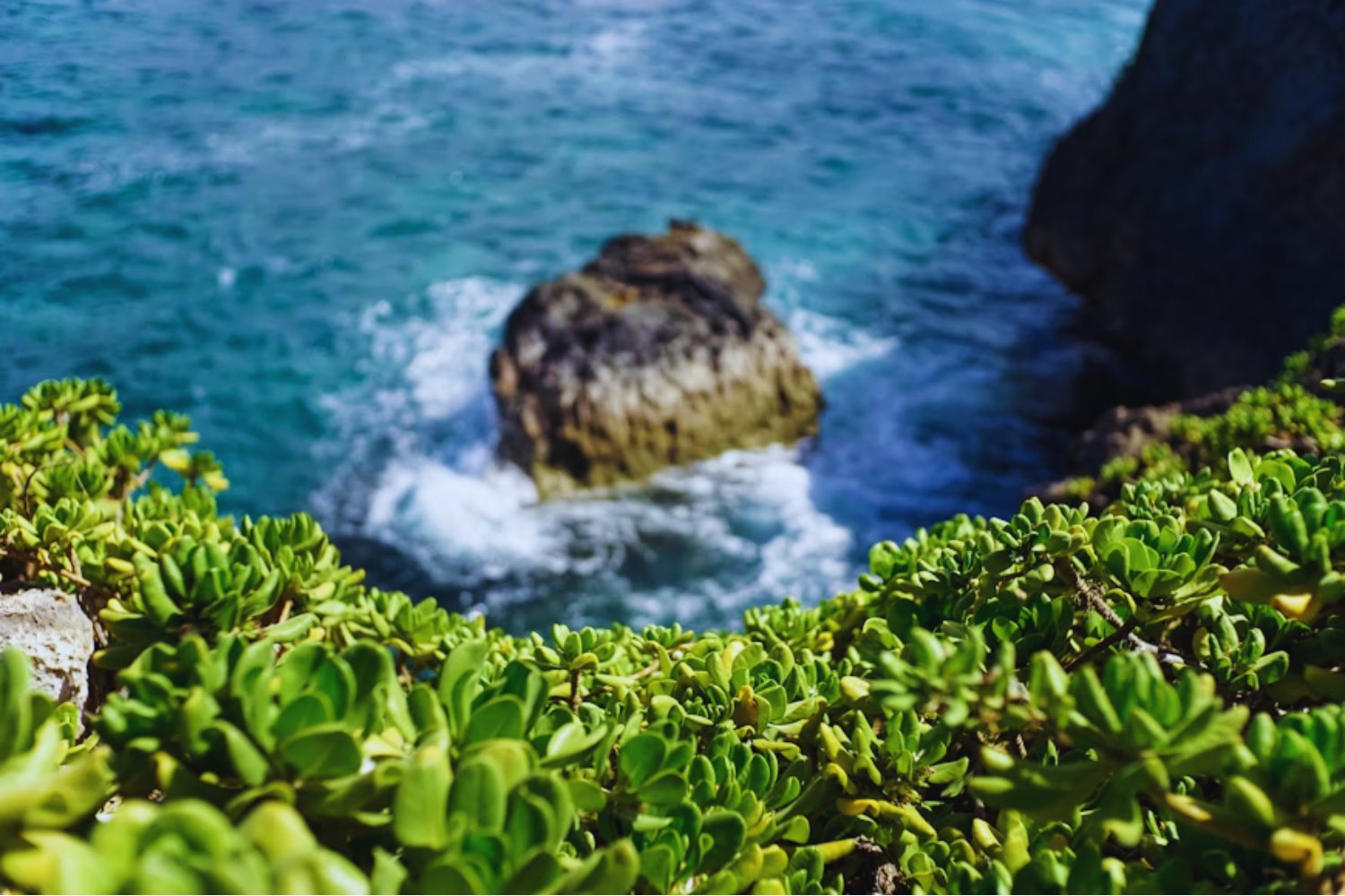 El mar como batería infinita. Japón estrena la energía osmótica, el poder silencioso del agua salada para alimentar hogares enteros.