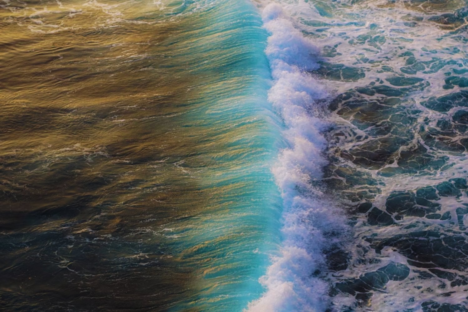 El mar como batería infinita. Japón estrena la energía osmótica, el poder silencioso del agua salada para alimentar hogares enteros.