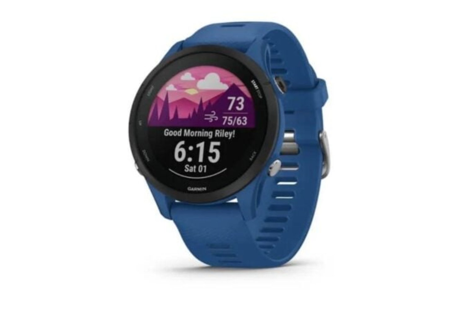 Garmin Forerunner 255