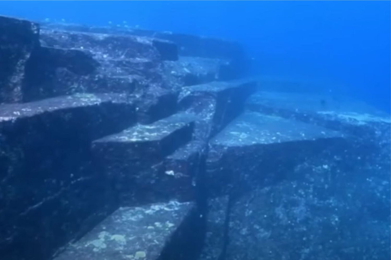 Diseño Sin Título (56)