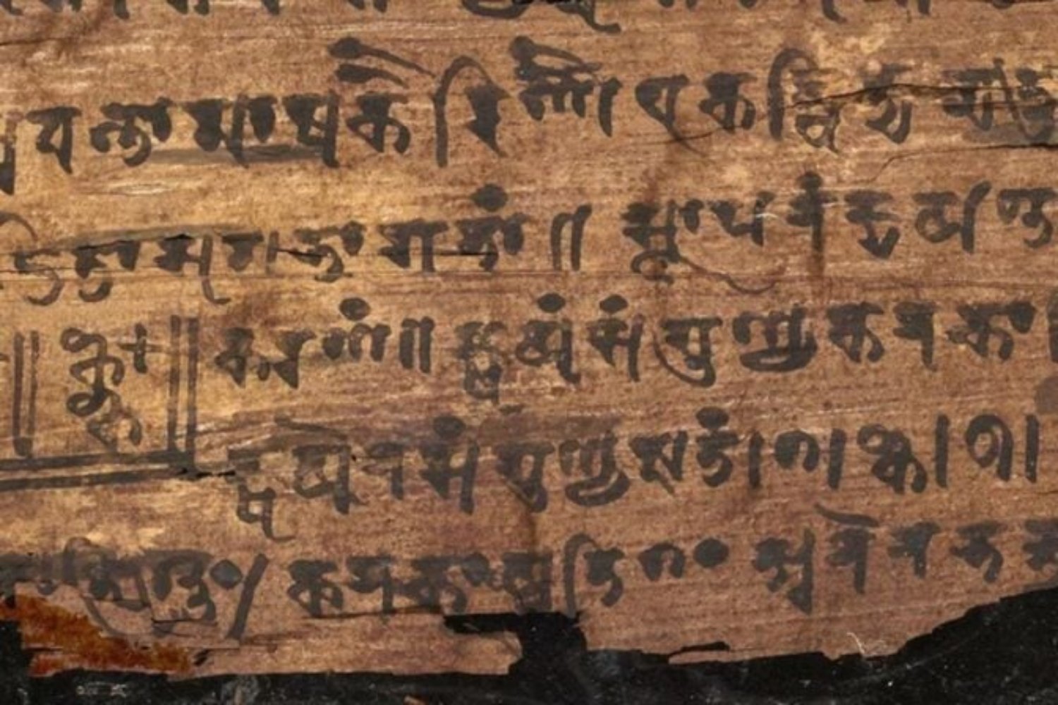 El lenguaje que todos hablamos sin saberlo. La historia secreta de los números y cómo se convirtieron en la primera escritura universal