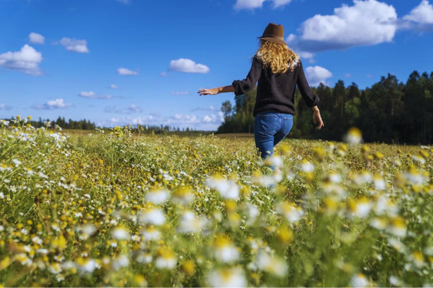 Finlandia lo tenía todo: educación, bienestar y felicidad. Pero ni eso ha logrado detener la desaparición silenciosa de sus familias