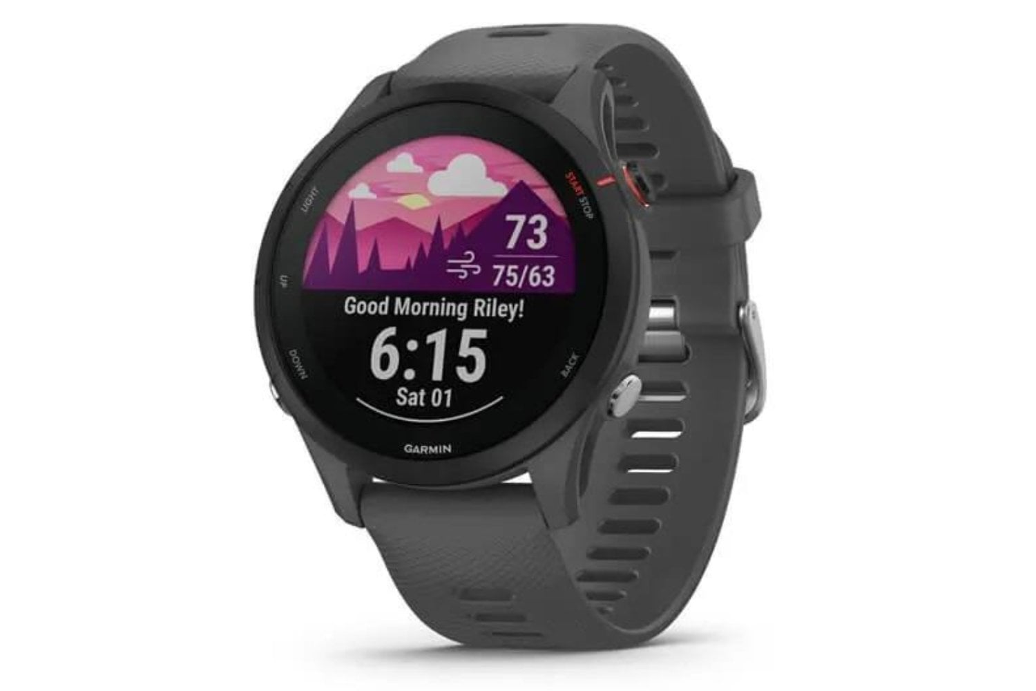 Garmin Forerunner 255