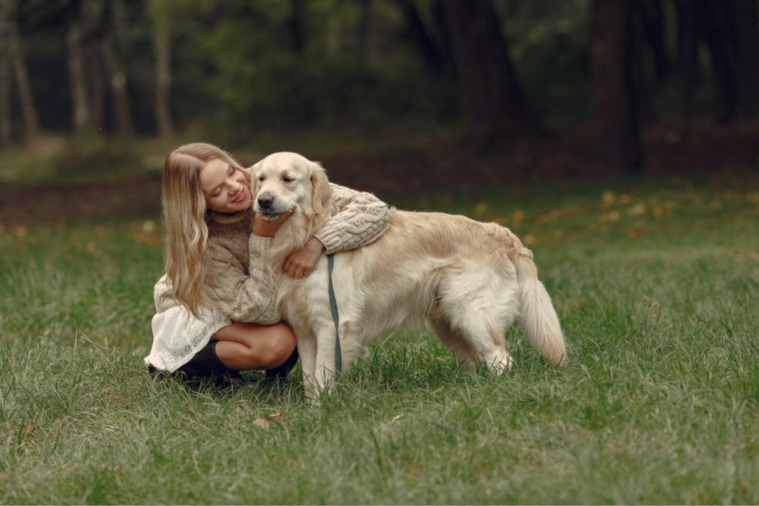 Golden retriever y humanos comparten 12 genes clave: la ciencia revela un vínculo emocional inesperado