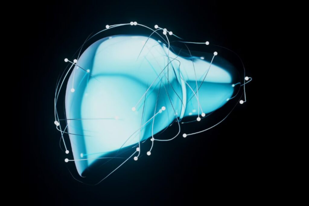 ¿Un edulcorante “light” puede afectar al hígado? Esto es lo que dice la ciencia sobre el sorbitol y la microbiota