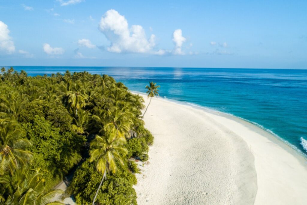 50.000 inversores y 120.000 euros después: la utopía bitcoin del Pacífico se derrumba