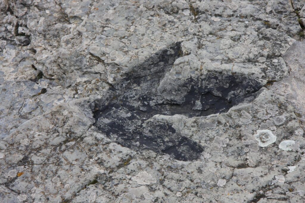 La Amazonía también fue tierra de dinosaurios: revelan huellas fosilizadas inéditas en Tacutu