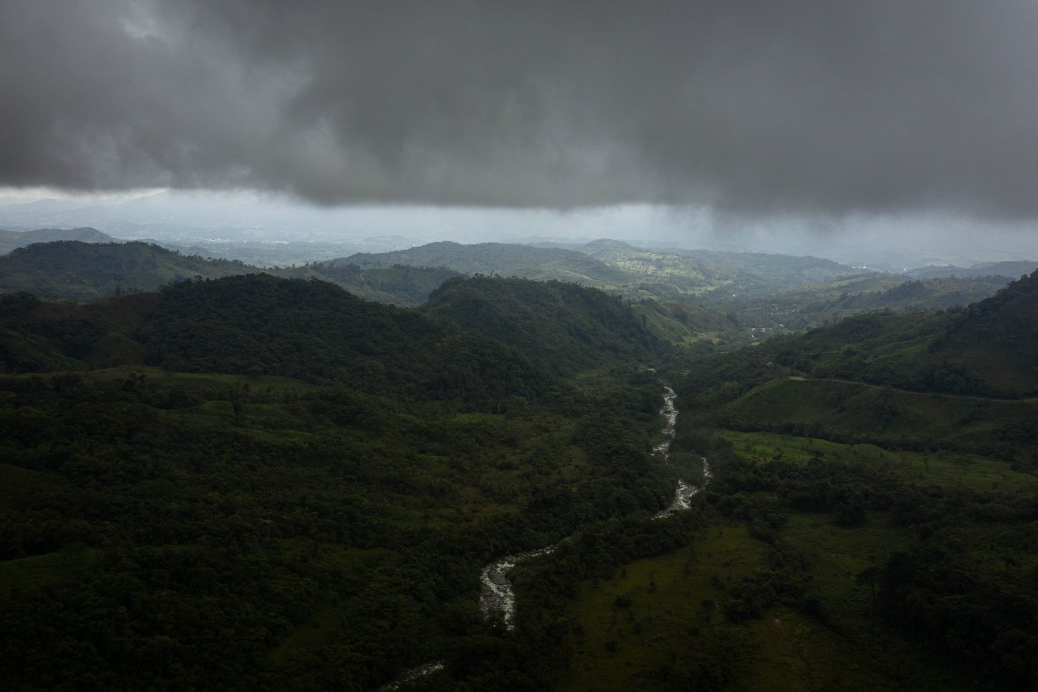 La Amazonía también fue tierra de dinosaurios: revelan huellas fosilizadas inéditas en Tacutu