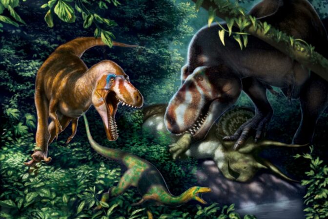 El “T. rex adolescente” nunca existió: un nuevo estudio confirma que se ...