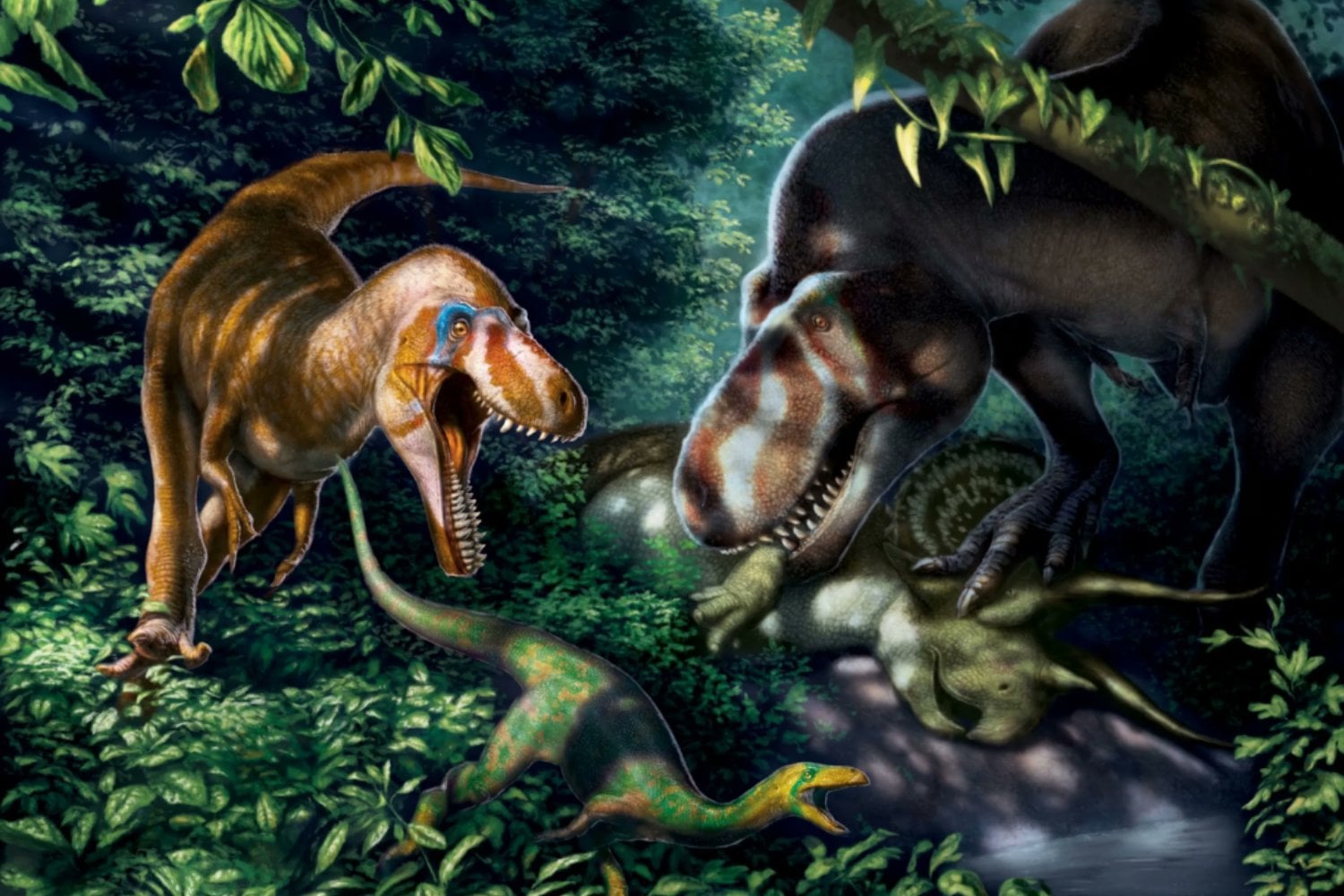 El “T. rex adolescente” nunca existió: un nuevo estudio confirma que se trataba de otra especie, el Nanotyrannus