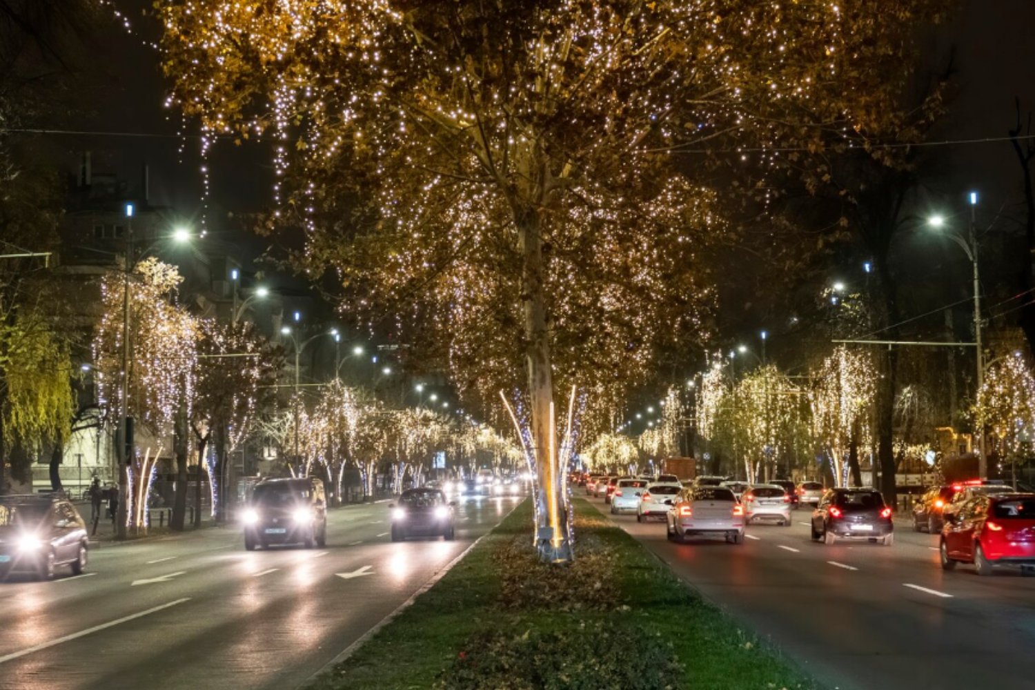 Las luces de la ciudad pueden dañar el corazón, según un estudio de Harvard