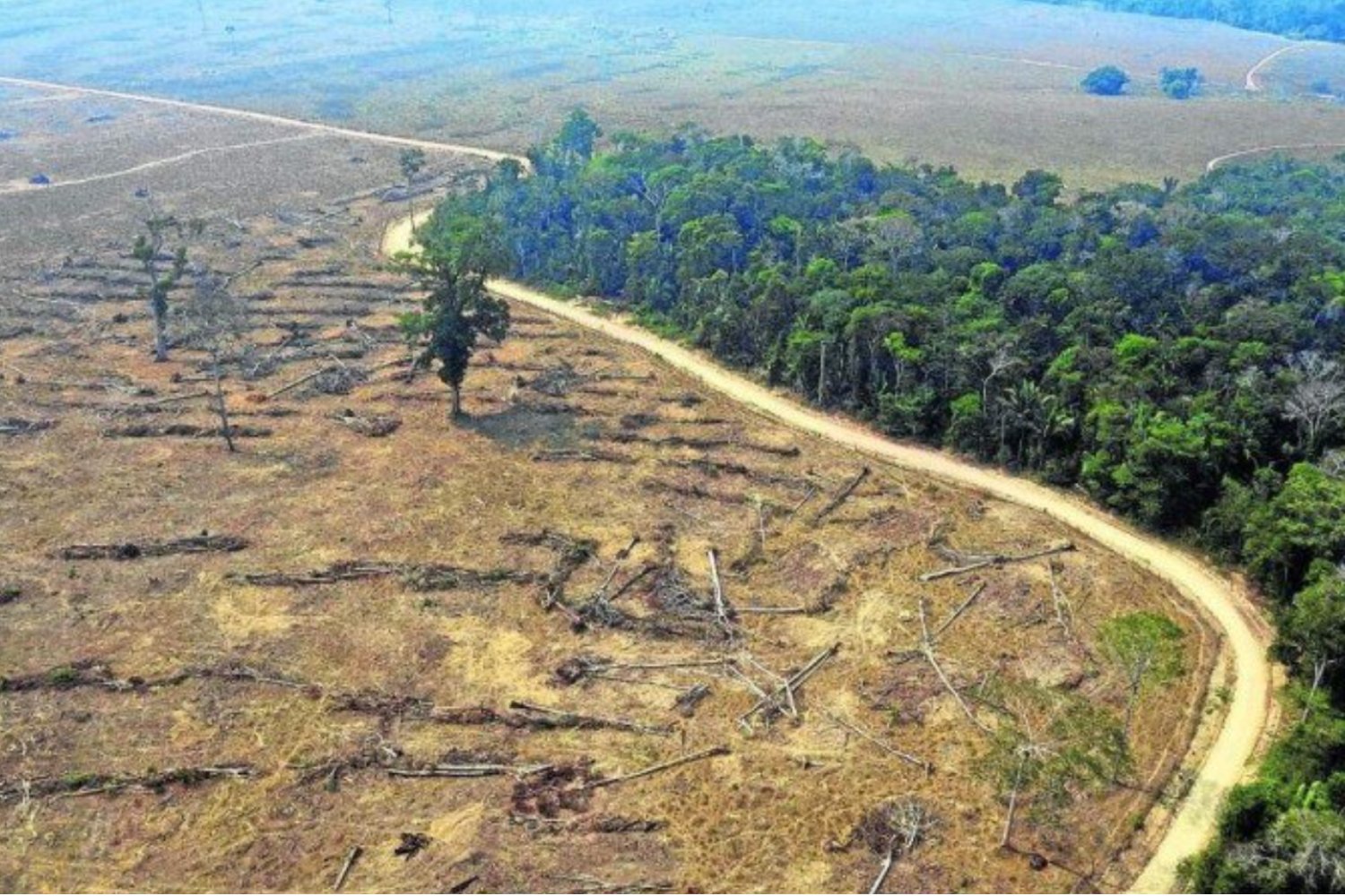 Los incendios que ya superan a la deforestación: el corazón verde del planeta está empezando a exhalar más carbono del que respira
