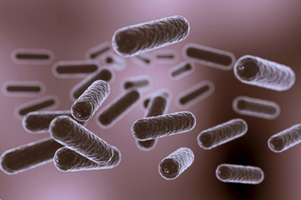 Una diminuta molécula podría frenar a las superbacterias: cómo funciona y por qué importa