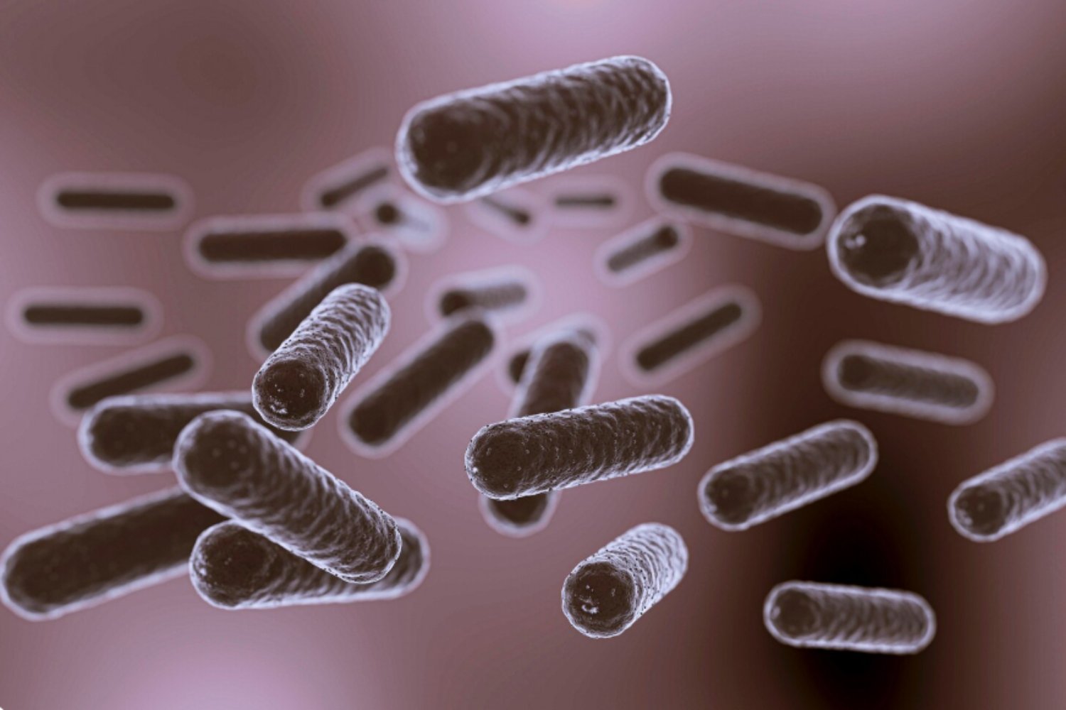 Una diminuta molécula podría frenar a las superbacterias: cómo funciona y por qué importa