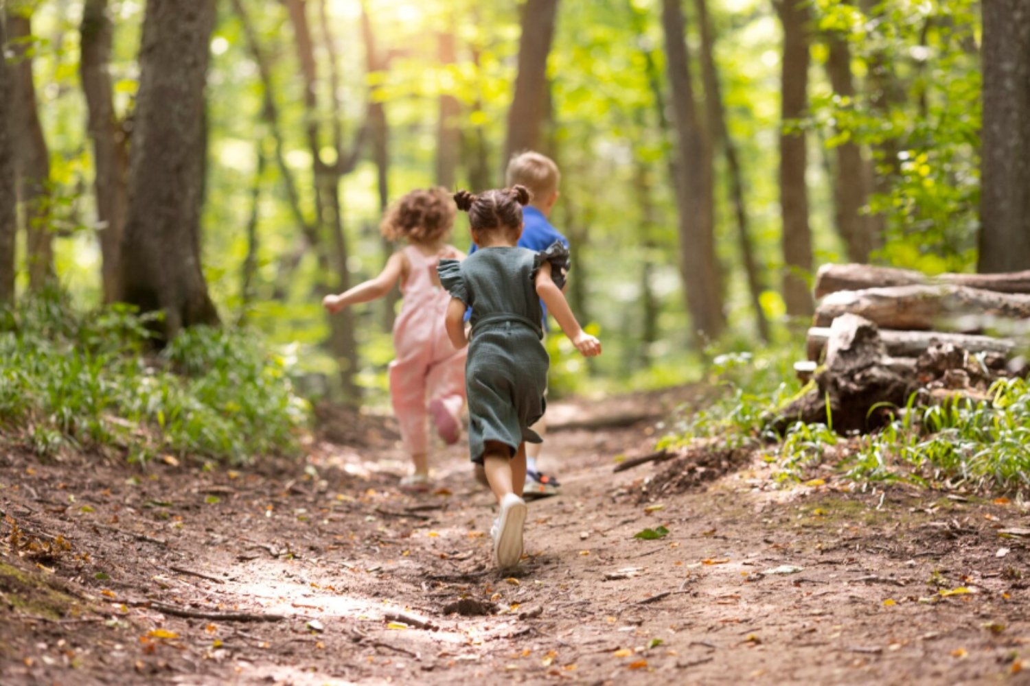 La biodiversidad del suelo mejora el sistema inmune infantil, según un estudio finlandés