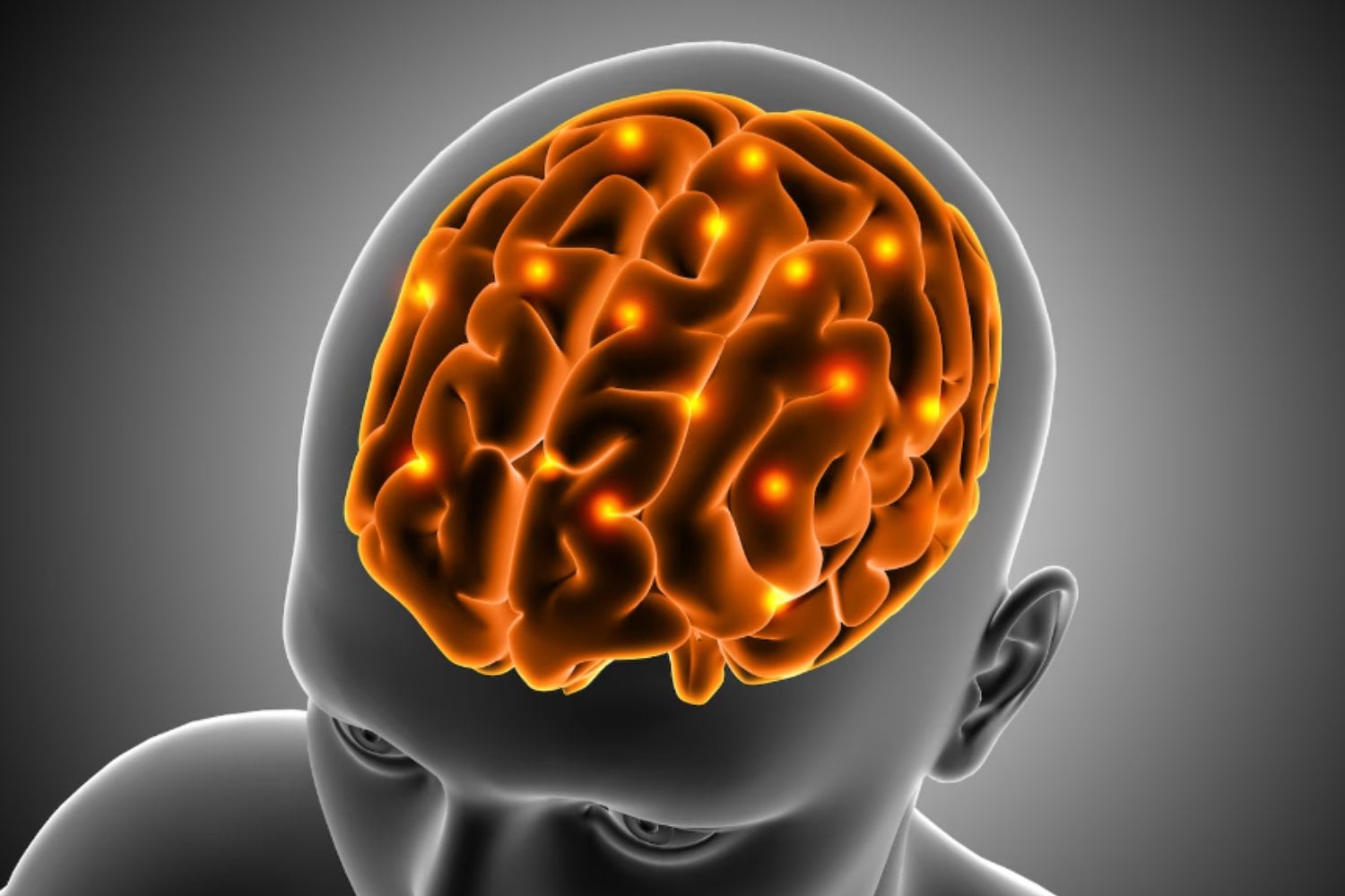 El cerebro aprende reorganizándose: descubren el orden oculto detrás de cómo pensamos y decidimosEl cerebro aprende reorganizándose: descubren el orden oculto detrás de cómo pensamos y decidimos