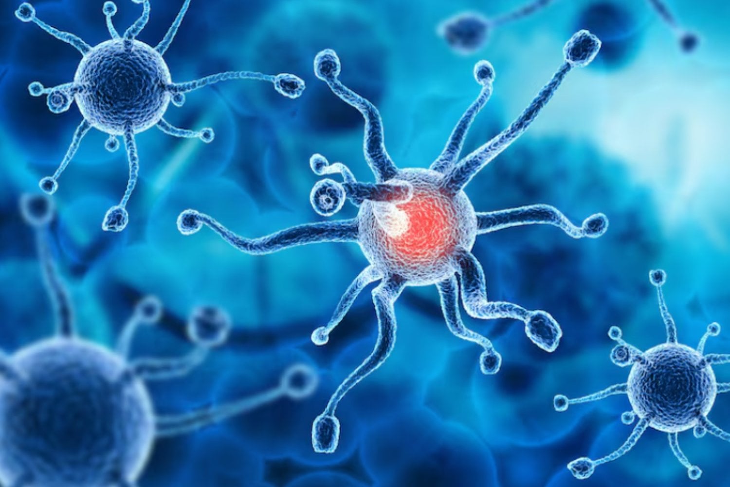 La biodiversidad del suelo mejora el sistema inmune infantil, según un estudio finlandés